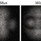 Image for article titled Physicists Successfully Tie the Very First Quantum Knots